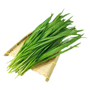 燎原绿色韭菜2斤国家绿色认证 当季爆款新鲜蔬菜基地新鲜现割发货