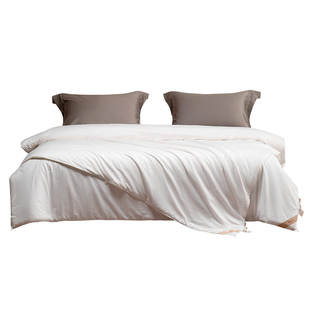 蚕丝被100桑蚕丝冬被春秋子母被丝棉官方旗舰店2025新款被芯正品