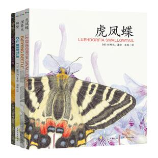 馆野鸿科学绘本全套4册精装蛩蠊斑蝥虎凤蝶埋葬虫昆虫书籍科普百科生物认知小学生课外阅读儿童自然界启蒙读物海豚传媒官方旗舰店