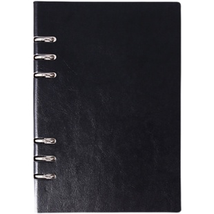 党委理论中心组学习笔记活页2025党员学习笔记本党委会议记录本定