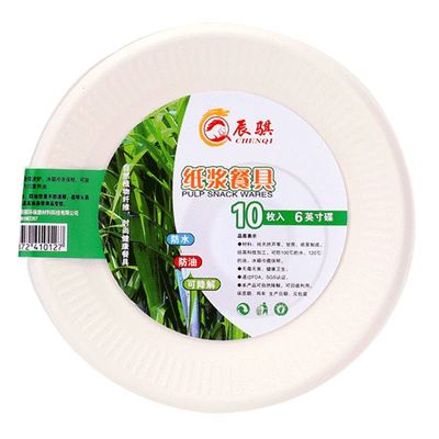 一次性装菜环保绘画圣诞纸盘子