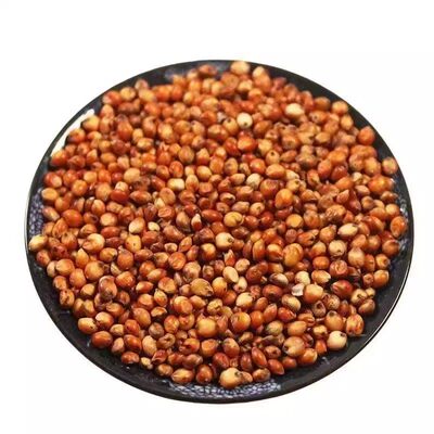 高粱酿酒专用高粱米新米红高粱带壳带皮高粱喂鸽子鸽用贵州红高粱