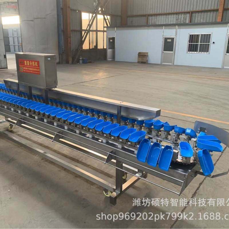 小龙虾分选机牡蛎称重分级机生蚝分拣机果蔬重量分级设备厂家,清洗/食品/商业设备,选果机/分选机,淘宝优惠券,粉丝福利购,淘宝优惠卷