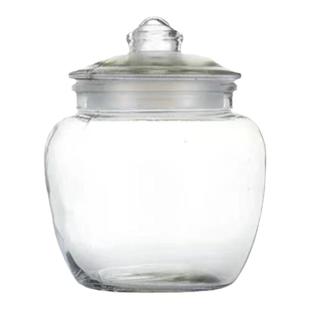 玻璃密封罐泡菜坛子腌制咸菜罐收纳储物药材罐带盖糖蒜杂粮瓶家用