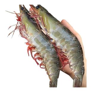 王牌大虾鲜活速冻超大基围虾海虾厄瓜多尔盐冻白虾南美对虾类海鲜