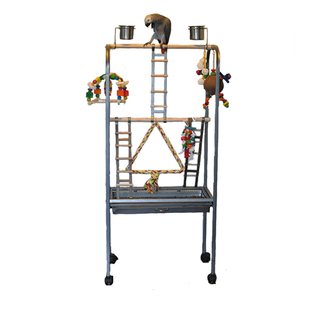 鹦鹉站架鸟笼子中大型鹦鹉站架高温烤漆灰鹦鹉金刚葵花架子站两只