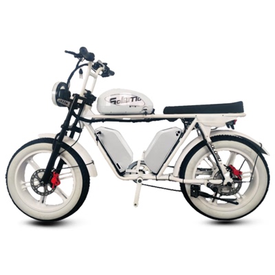 super73电动车复古新国标锂电池