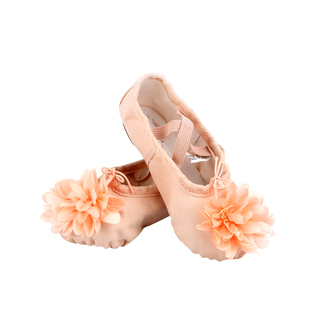 儿童芭蕾舞蹈鞋小花鞋女软底初学幼儿练功猫爪鞋女童舞蹈鞋中国舞