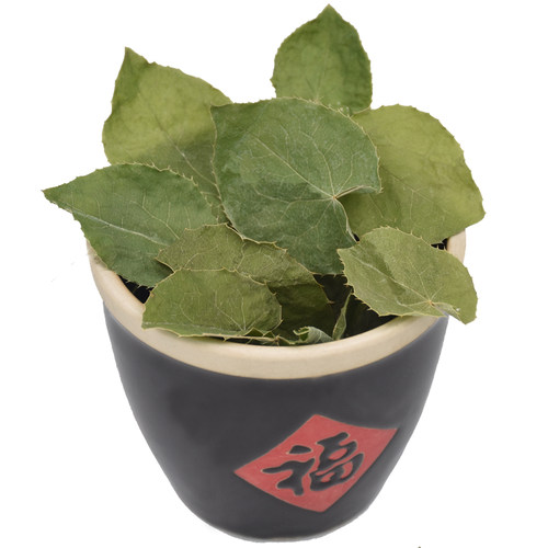 不老草