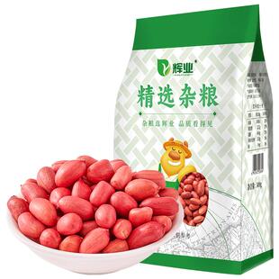 辉业东北原味红皮花生新货非带壳生花生仁新鲜农家大粒下酒酒鬼