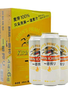 KIRIN日本整箱装生啤酒