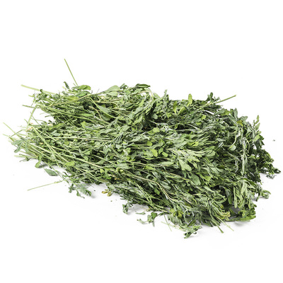 紫花苜蓿草兔子豚鼠专用草料