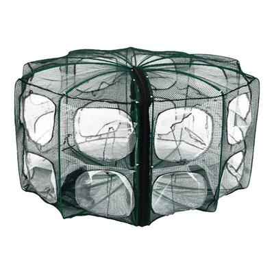 金蟾王工厂直营鱼笼虾笼