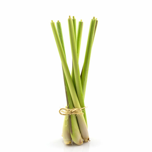 新鲜香茅草奶茶店用冬阴功汤泰式香料调味调料饮品制作香茅柠檬草