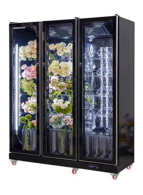 顶邦鲜花保鲜柜花店冰箱专用鲜花柜冷藏柜展示柜花墙冰箱风冷无霜