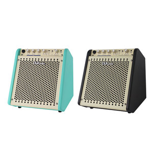 DK大咖iB-25贝斯音箱蓝牙混响户外便携电贝司专用音响电子鼓通用