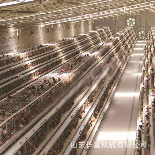 半自动立体镀锌鸡舍家用养殖捡蛋清粪设备全自动层叠式框架肉鸡笼