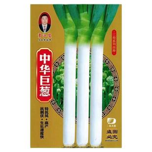 中华巨葱种子大香葱铁杆大葱型耐热抗风章丘大葱葱白粗春季秋冬季