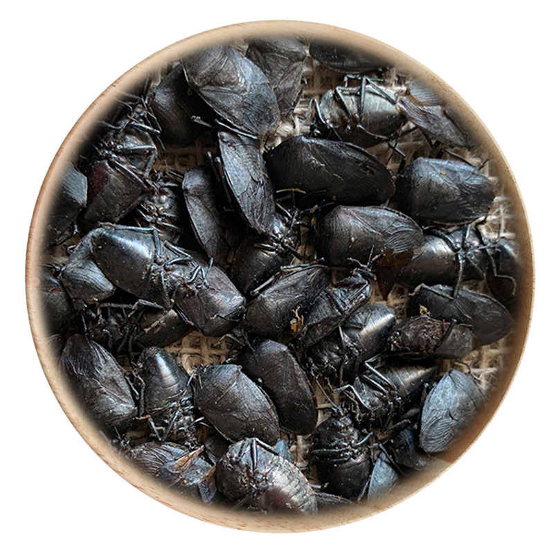 50g九香虫可打粉满包邮