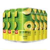 珠江菠萝啤味饮料12罐*330mL
