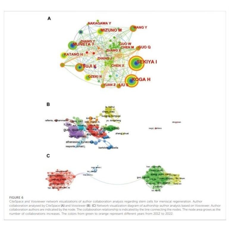 文献计量学分析/提供主题作图分析框架设计