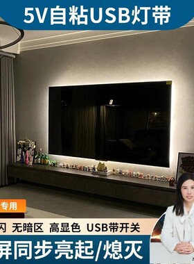 【花小钱办大事】电视氛围灯led灯带5V低压自粘式单色灯条USB插口