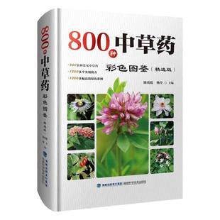 800种中草药彩色图鉴 精选版 中草药全图鉴 中草药彩图大全书籍本草纲目 野生中药草本植物图谱 中医养生药学实用验方中药配方正版