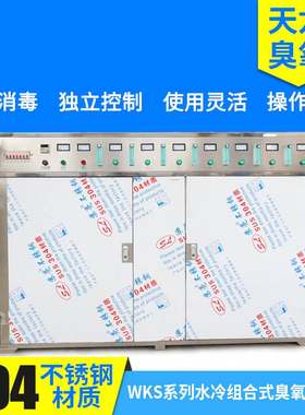 WKS水冷组合式臭氧发生器  废气处理空气净化器一体式臭氧机