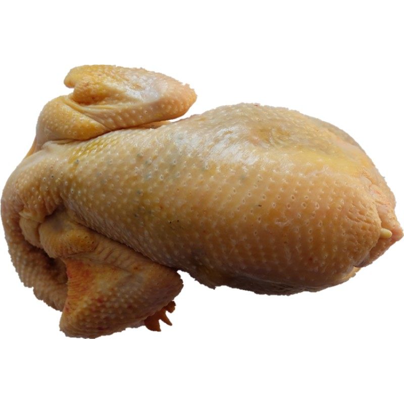 北京散养大公鸡整鸡肉特产现宰发平谷溜达土鸡正宗农家春季年货