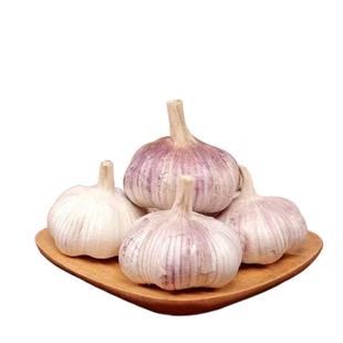 山东蒜紫皮大蒜头干蒜批发25年新蒜晒干产地价包邮