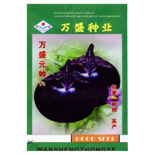 寿光蔬菜种子元帅茄子种子高产圆茄春季茄子种籽四季茄子苗秧苗
