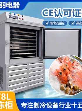 大型酒店冷藏鸡爪 鸡翅  猪脚 冷冻丸子速冻机  急冻海鲜冷冻柜