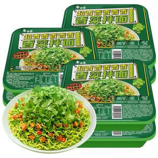 白象香菜拌面6/12盒干拌凉方便面速食早晚餐泡面整箱绿色面饼新品
