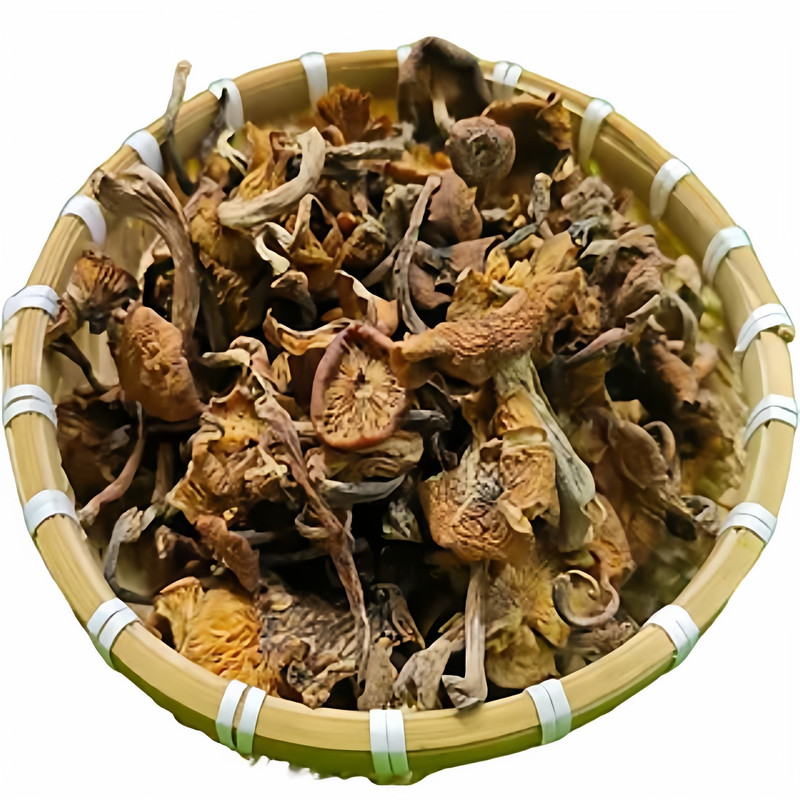 黑龙江野生榛蘑蘑菇小鸡炖蘑菇