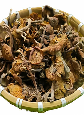 黑龙江野生榛蘑蘑菇小鸡炖蘑菇
