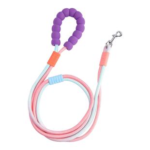 泰迪幼犬小狗狗专用绳子宠物的牵引绳网红款大中型犬不勒脖高颜值