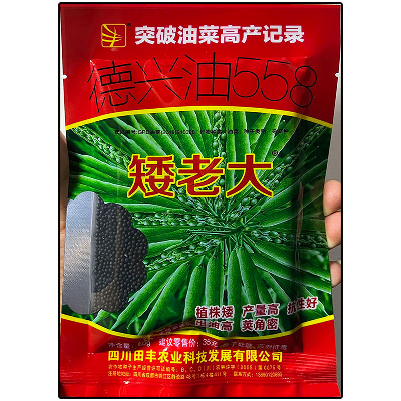 矮老大榨油菜新种子杂交高产川油