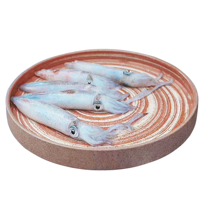 小管鱿鱼新鲜东山岛海兔