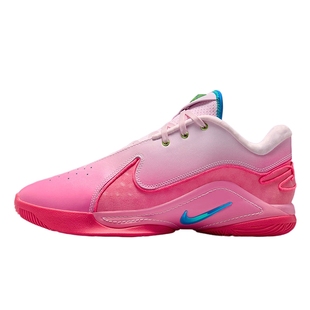 Nike耐克男鞋LEBRON 22代詹姆斯粉色运动鞋实战篮球鞋HV8456-600