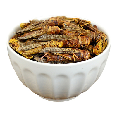 蝗虫中药材正品蚂蚱草蜢蚱蜢飞蝗