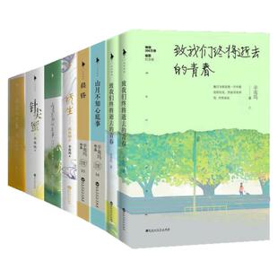 【辛夷坞作品集 全12册】针尖蜜+山月不知心底事+致我们终将逝去的青春+许我向你看+抚生·孤暮朝夕+山月不知心底事+晨昏