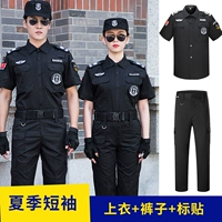 Летние короткие рукава (топ+брюки+наклейки)