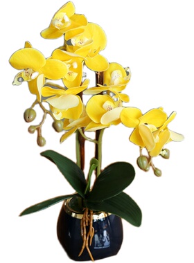 蝴蝶兰仿真花摆件简约装饰花艺