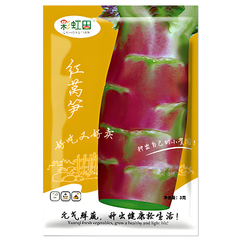 红莴笋种子四季莴苣种孑