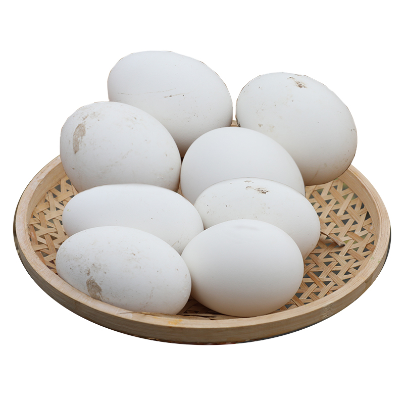 密之蓝天农家散养鹅蛋河套自由觅食自然产蛋个大蛋香浓郁八枚包邮