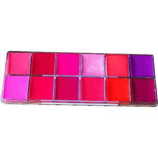 12色口红唇彩盘多色唇蜜哑光雾面口红板持妆女化妆师咬唇妆包邮