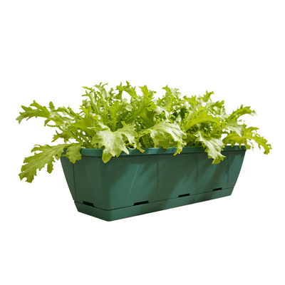 阳台霍伦花盆长方形种菜盆