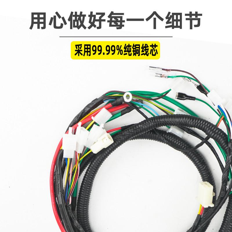 品铸电动车整车线电摩大公主电缆线总成一套中沙电动车通用线路