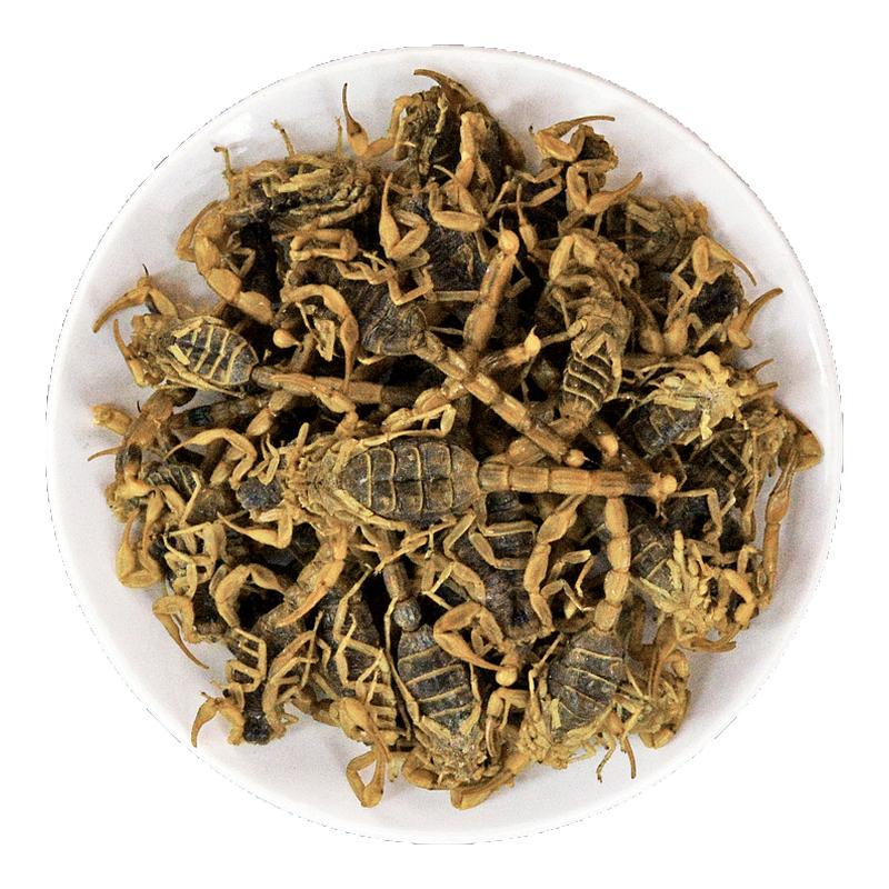 全蝎中药材正品水洗全蝎清水蝎子