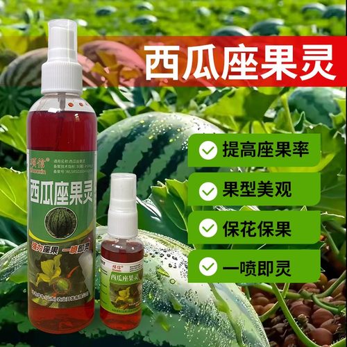 西瓜喷花座果灵授粉专用叶面肥保花保果防裂坐果灵增甜